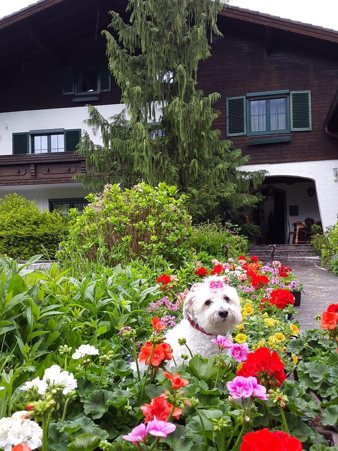 Haus Am Moos Bed & Breakfast Salzburg Ngoại thất bức ảnh